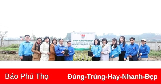 Tuổi trẻ Tam Nông góp thêm sắc xanh cho quê hương