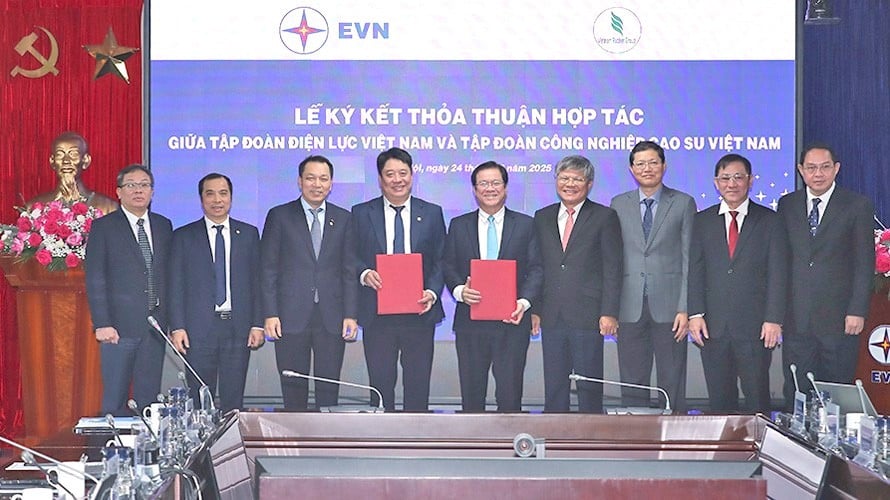 Vietnam Electricity Group and Vietnam Rubber Industry Group signed a cooperation agreement