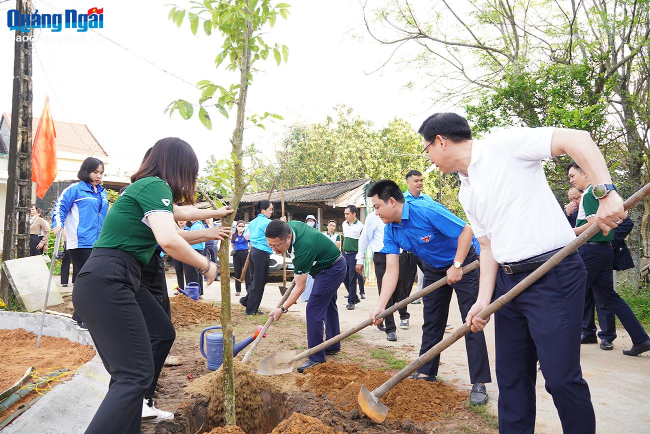 Representatives of the Provincial Youth Union, Vietcombank Quang Ngai branch and Vietcombank Dung Quat branch planted purple Lagerstroemia trees at the Cultural House of Doc Lap village.