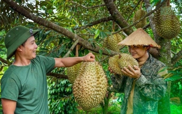 การขจัดอุปสรรคทำให้ผลิตภัณฑ์ทางการเกษตรของเวียดนามกลายเป็น 'พันธมิตร' ที่มีชื่อเสียงกับลูกค้าต่างประเทศ