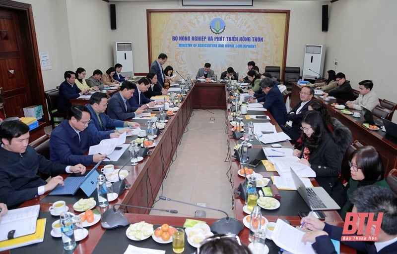 Proposal to recognize Thieu Hoa district as meeting advanced new rural standards