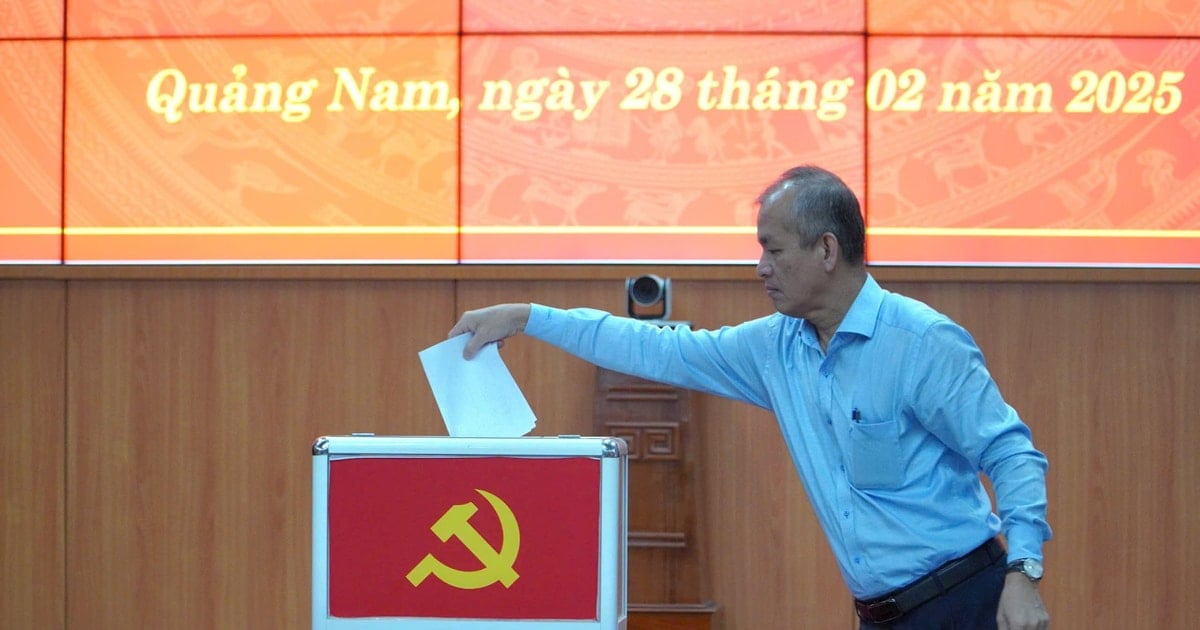 Establishment of 7 grassroots party organizations under the Party Committee of Quang Nam Provincial People's Committee