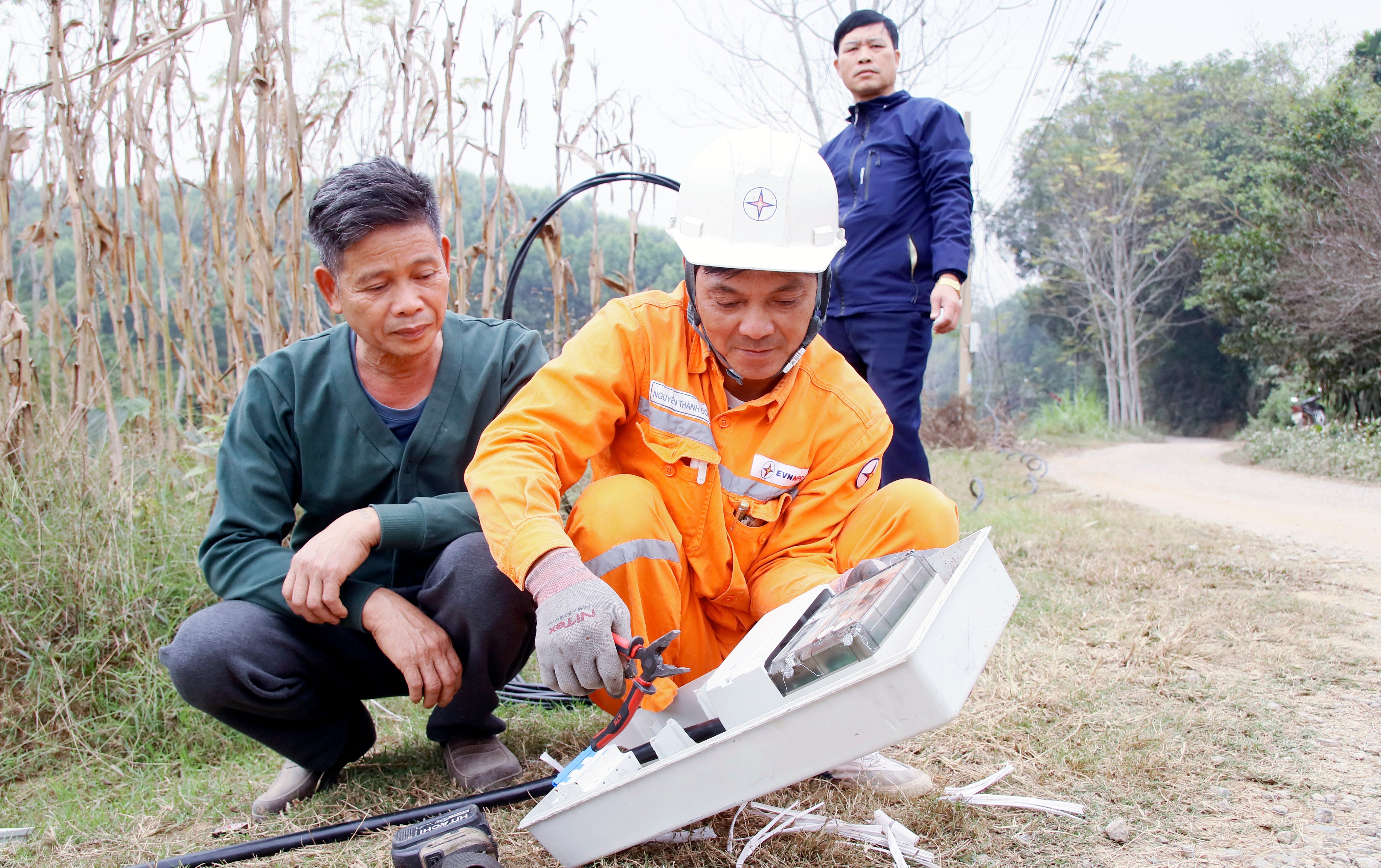 Điện lực Thanh Ba nỗ lực cung cấp điện an toàn, ổn định