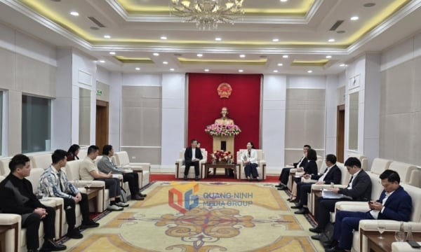 Promouvoir la coopération dans le développement de l'industrie culturelle à Quang Ninh (Vietnam) et Guangxi (Chine)