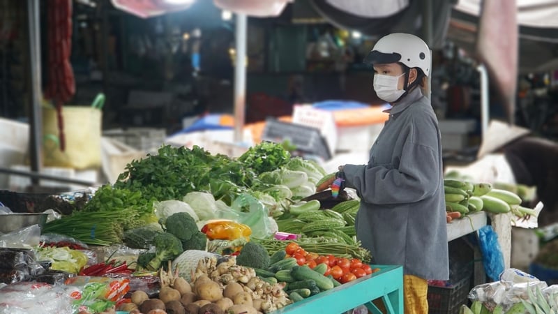 市場での野菜の価格は急落し続けている。