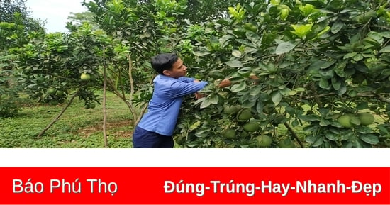 Nâng cao thu nhập, xây dựng nông thôn mới nâng cao