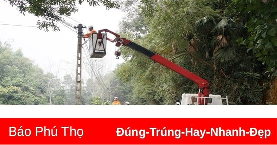 Điện lực Thanh Ba nỗ lực cung cấp điện an toàn, ổn định