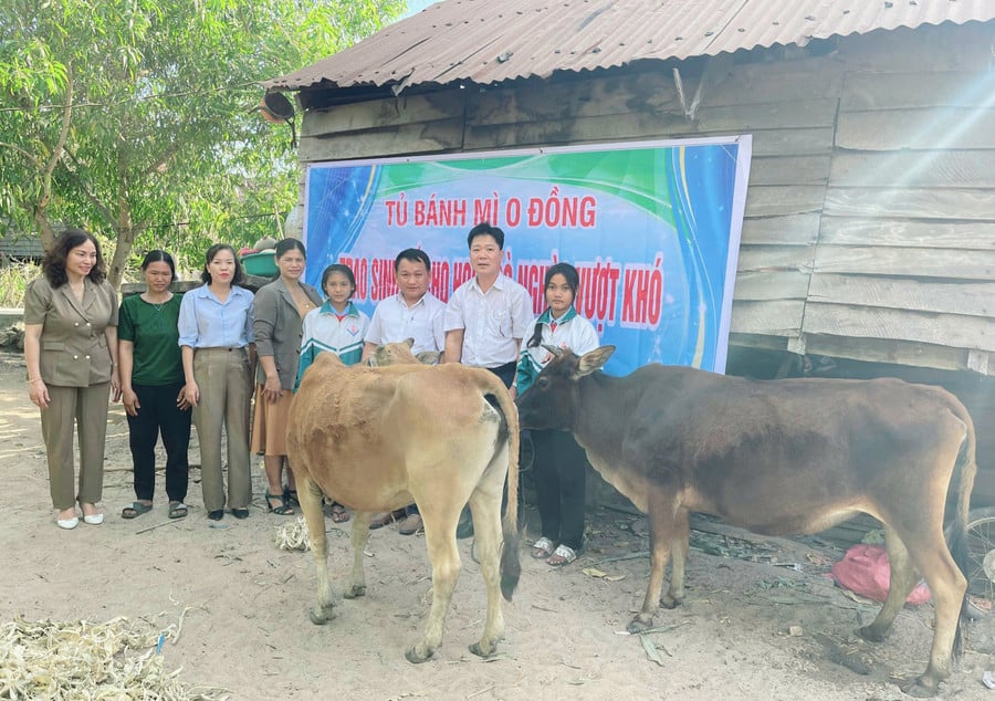 Providing livelihoods to poor students in Chu Bah commune