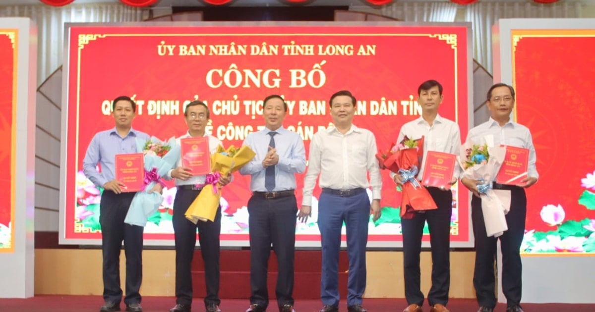 Long An sau tinh gọn còn 13 sở, ngành