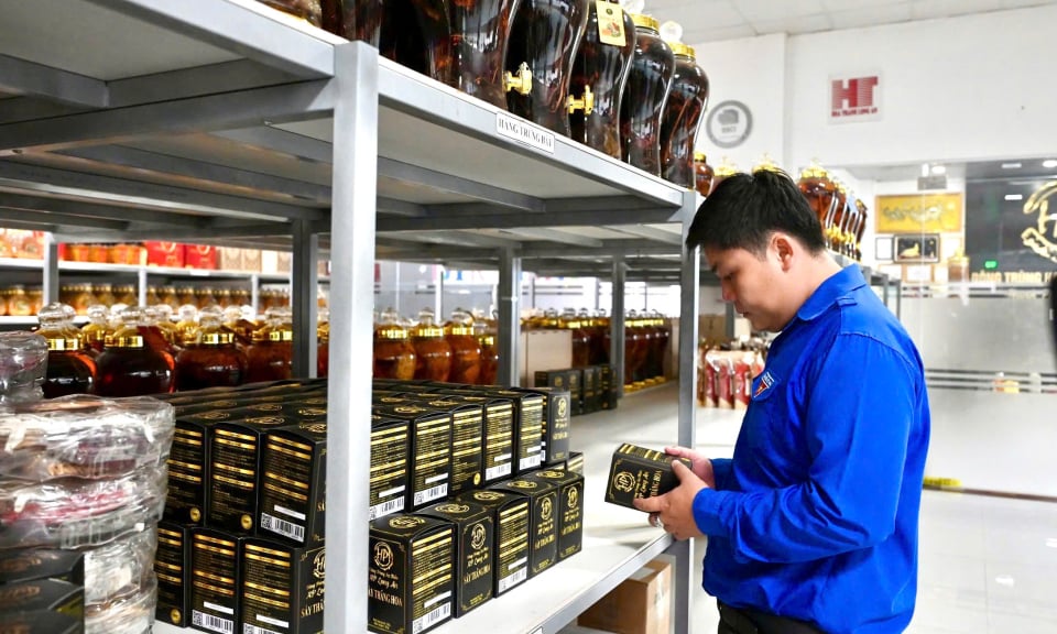 Der Ingenieur gründete erfolgreich ein Unternehmen aus Cordyceps