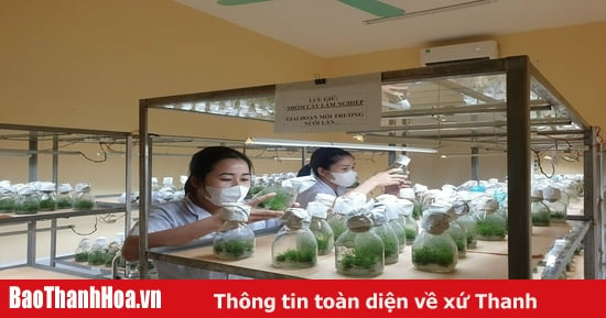 Phấn đấu tiết  kiệm 20% chi thường xuyên, thu ngân sách đạt trên 45.492 tỷ đồng năm 2025