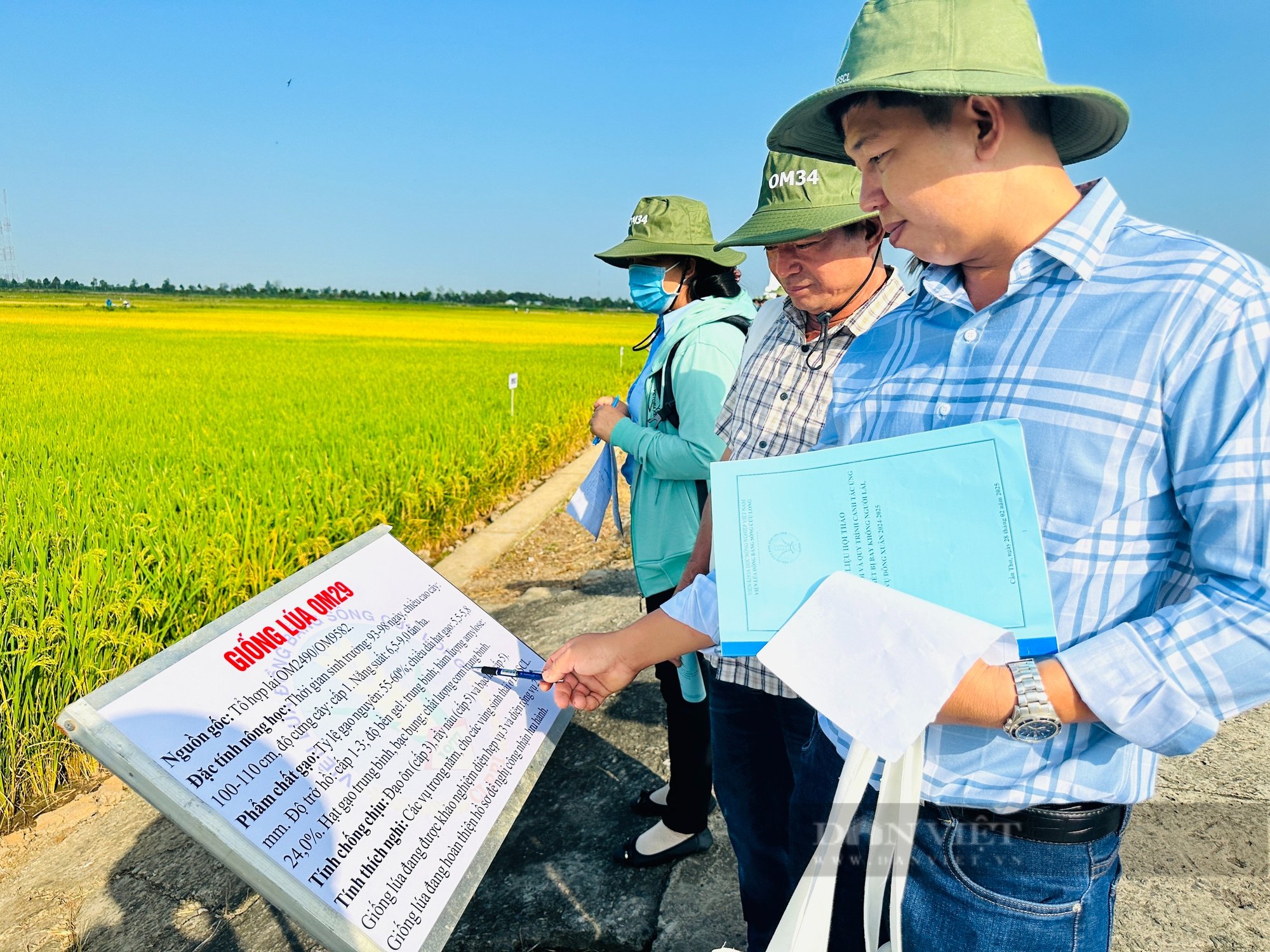 Hàng trăm người dân, hợp tác xã đến tham quan, đánh giá loạt giống lúa triển vọng năm 2025 tại Viện lúa ĐBSCL - Ảnh 8.