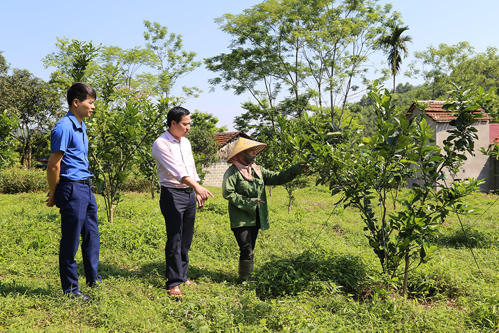 Đồng hành phát triển kinh tế địa phương