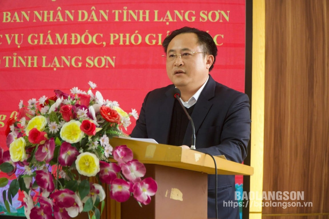 Comrade Luong Trong Quynh, Vice Chairman of the Provincial People's Committee spoke at the conference.