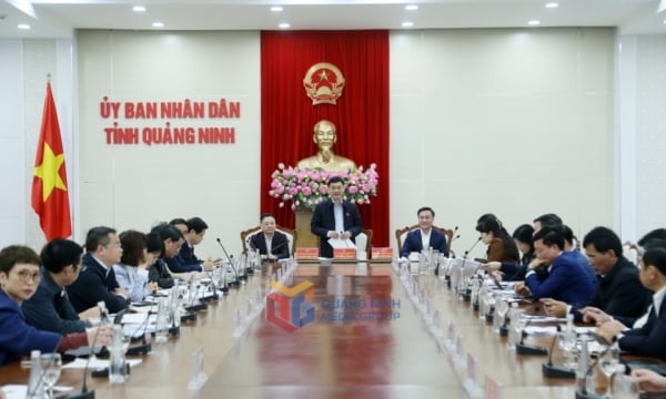 Vice Chairman of the National Assembly Vu Hong Thanh surveys and works in Quang Ninh