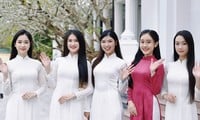 Miss Vietnam 2024 se déroule dans l'environnement culturel de Hue