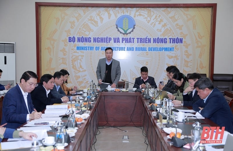 Proposal to recognize Thieu Hoa district as meeting advanced new rural standards