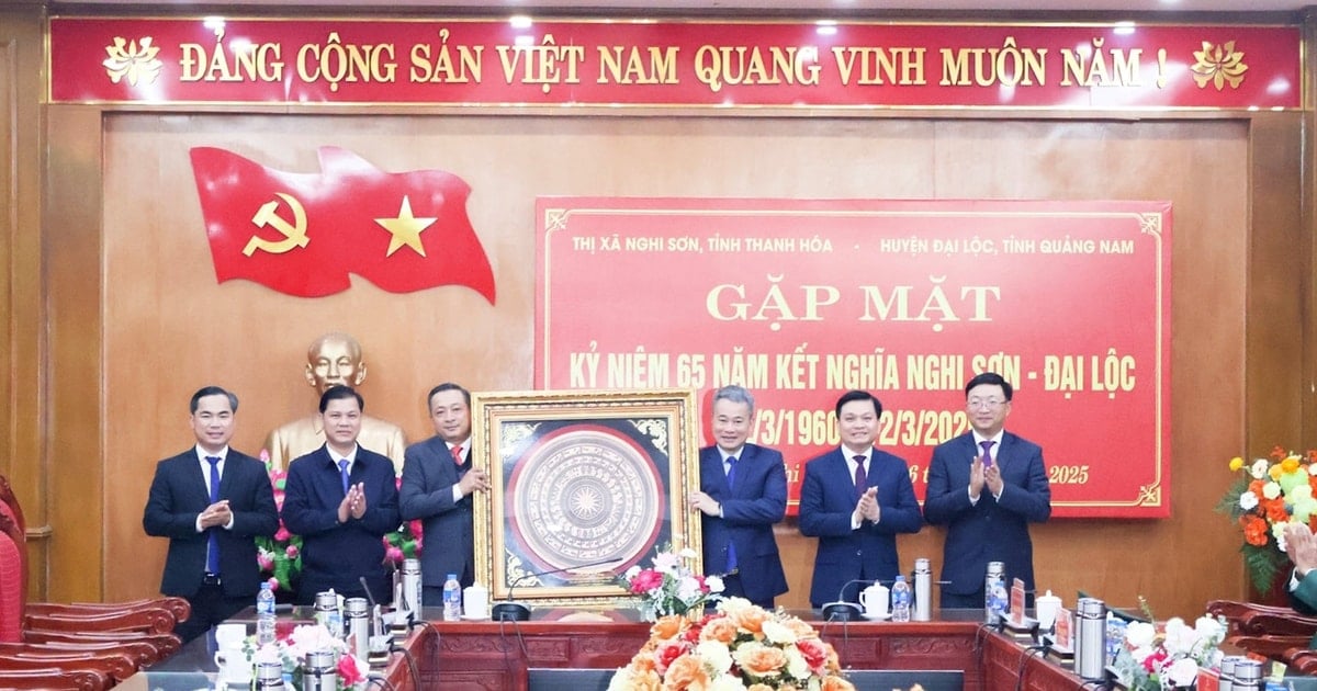 Rencontre pour célébrer les 65 ans du jumelage Nghi Son