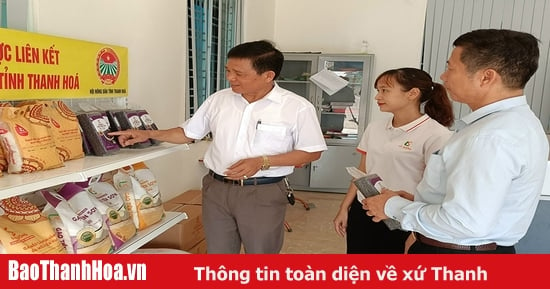 Gạo sạch trên những cánh đồng xanh