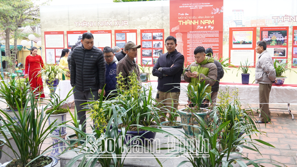 Tet Market "A Glimpse of Thanh Nam" - Nam Dinh cultural tourism destination in early Spring