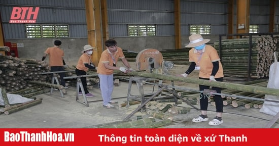 Xu hướng chế biến sâu trong lâm sản