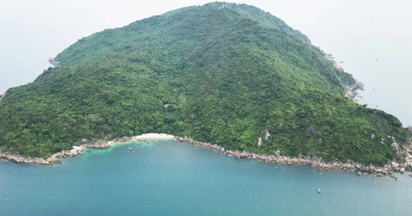 Research on developing Son Cha Island into a resort island for luxury guests