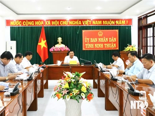 Provincial People's Committee held a meeting to urge the implementation of energy projects in Power Plan VIII