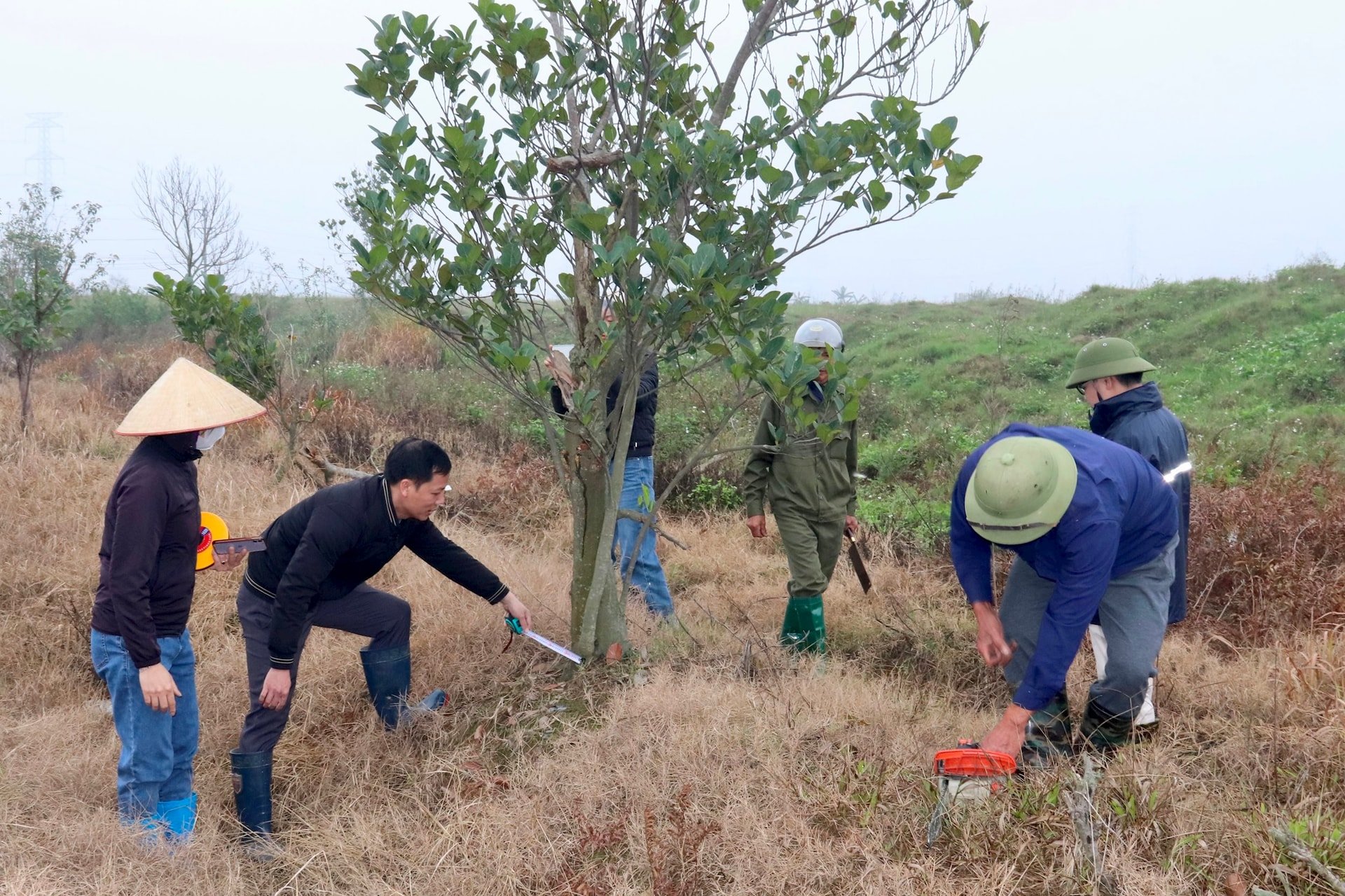 Thanh Mien forcibly reclaimed land from 12 households to implement a new urban area project.