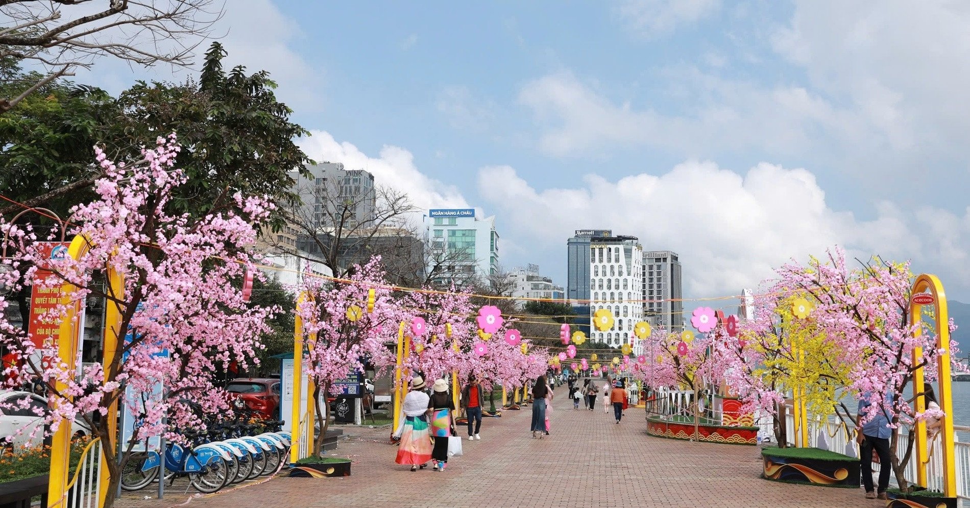 ถนนดอกไม้ฤดูใบไม้ผลิในดานังจะยาวไปจนถึงเดือนพฤษภาคม