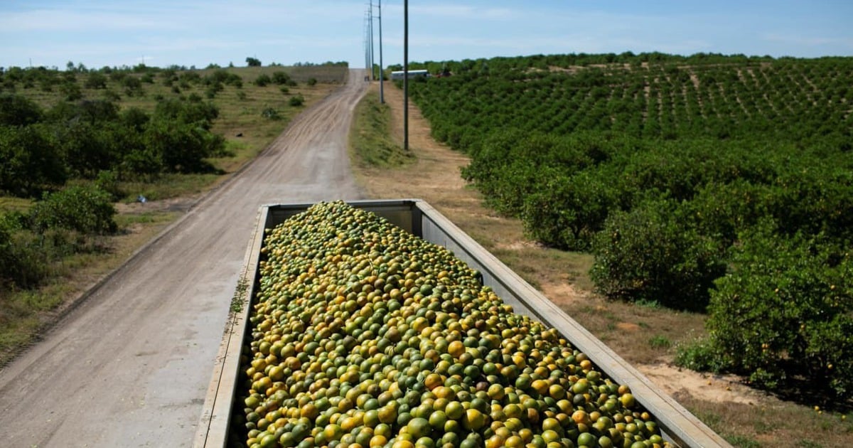 Le Canada riposte et interdit le jus d'orange en provenance du pays d'origine de Trump