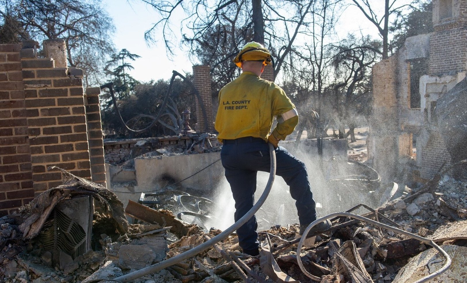 Los Angeles jungle completely uncovered after more than three weeks picture 1