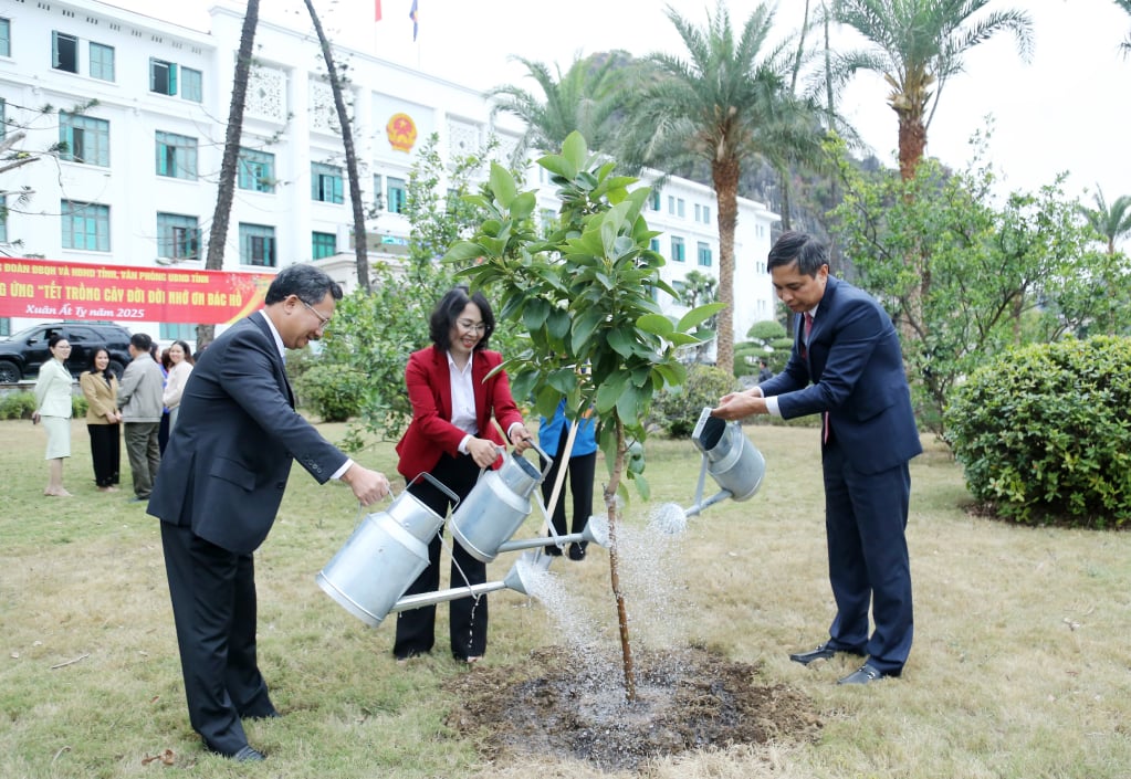 Các đồng chí: Trịnh Thị Minh Thanh, Phó Bí thư Thường trực Tỉnh ủy, Vũ Văn Diện, Phó Chủ tịch Thường trực UBND tỉnh; Cao Tường Huy, Phó Chủ tịch UBND tỉnh trồng cây hưởng ứng Tết trồng cây 