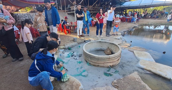 Les gens affluent vers les sources chaudes de Binh Dinh, se rassemblant par groupes de 3 ou 5 pour faire bouillir des œufs dans le ruisseau, en s'activant.