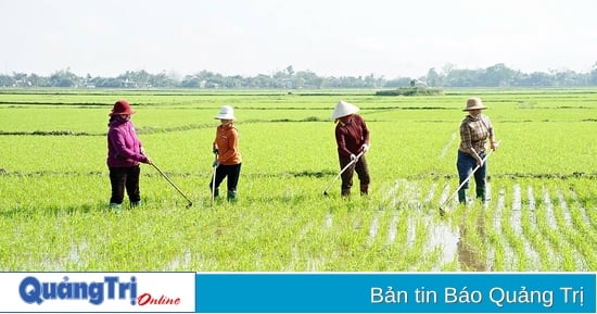 การดูแลเร่งด่วนสำหรับพืชฤดูหนาว-ฤดูใบไม้ผลิ