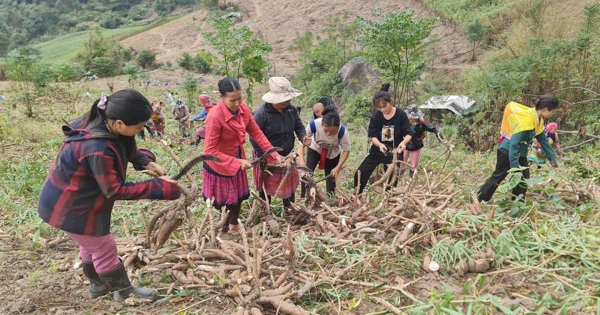 Xuân ấm miền biên viễn