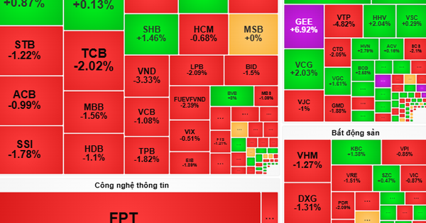 Cash flow can be concentrated in individual stocks