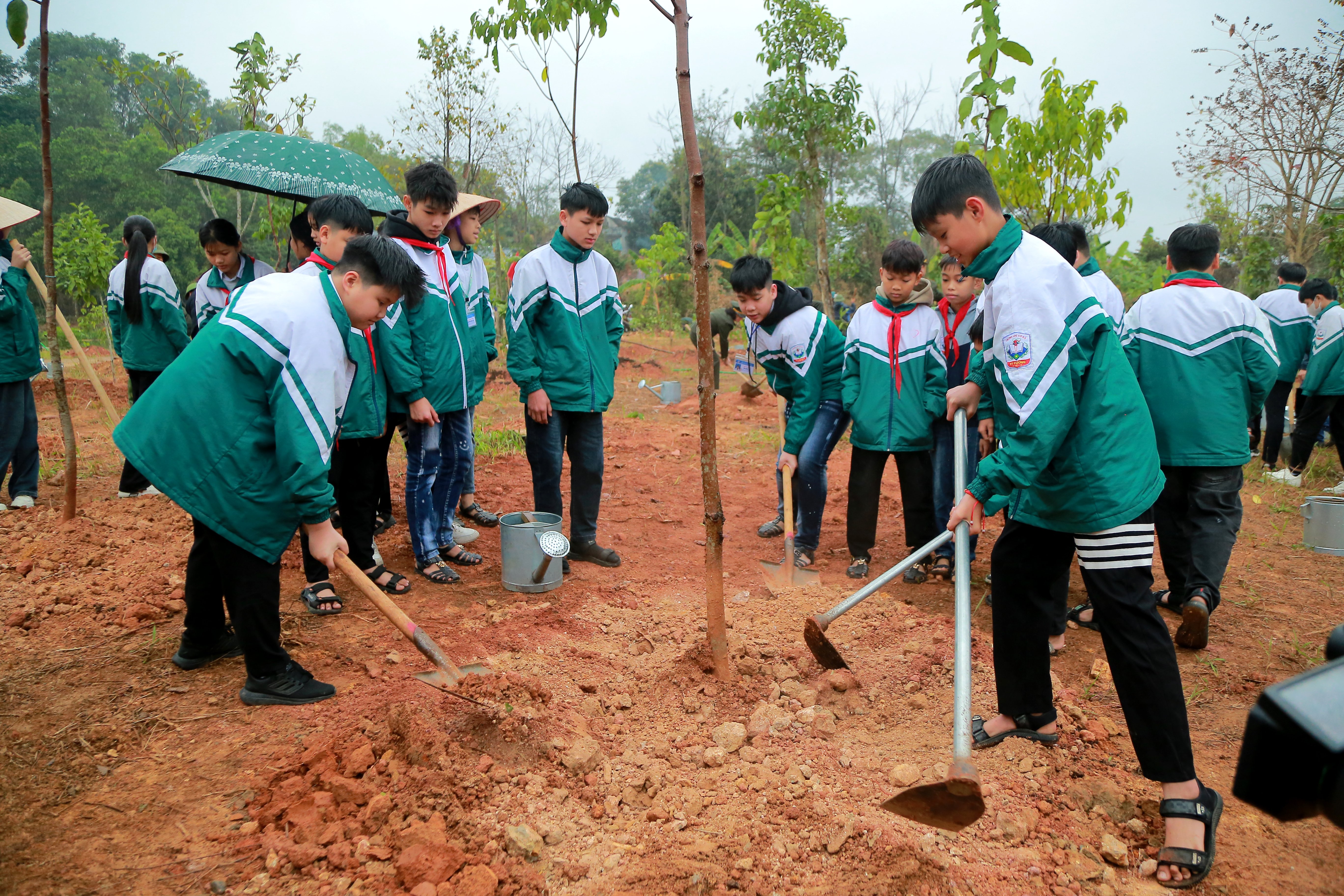 Phú Thọ phát động “Tết trồng cây đời đời nhớ ơn Bác Hồ” Xuân Ất Tỵ