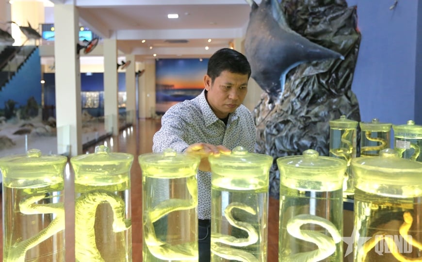 Spring Day Meeting the “Soul Keeper” of Vietnamese Sea Snakes