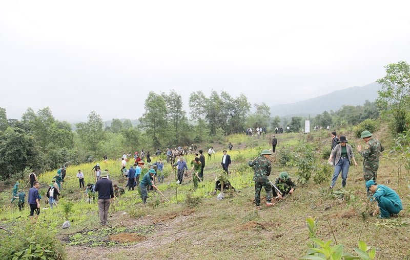 Đông đảo cán bộ, chiến sỹ lực lượng vũ trang, nhân dân huyện Tuyên Hóa trồng rừng bằng cây bản địa tại xã Sơn Hóa.