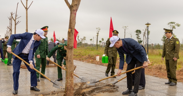 Quang Binh responds to Tet tree planting movement