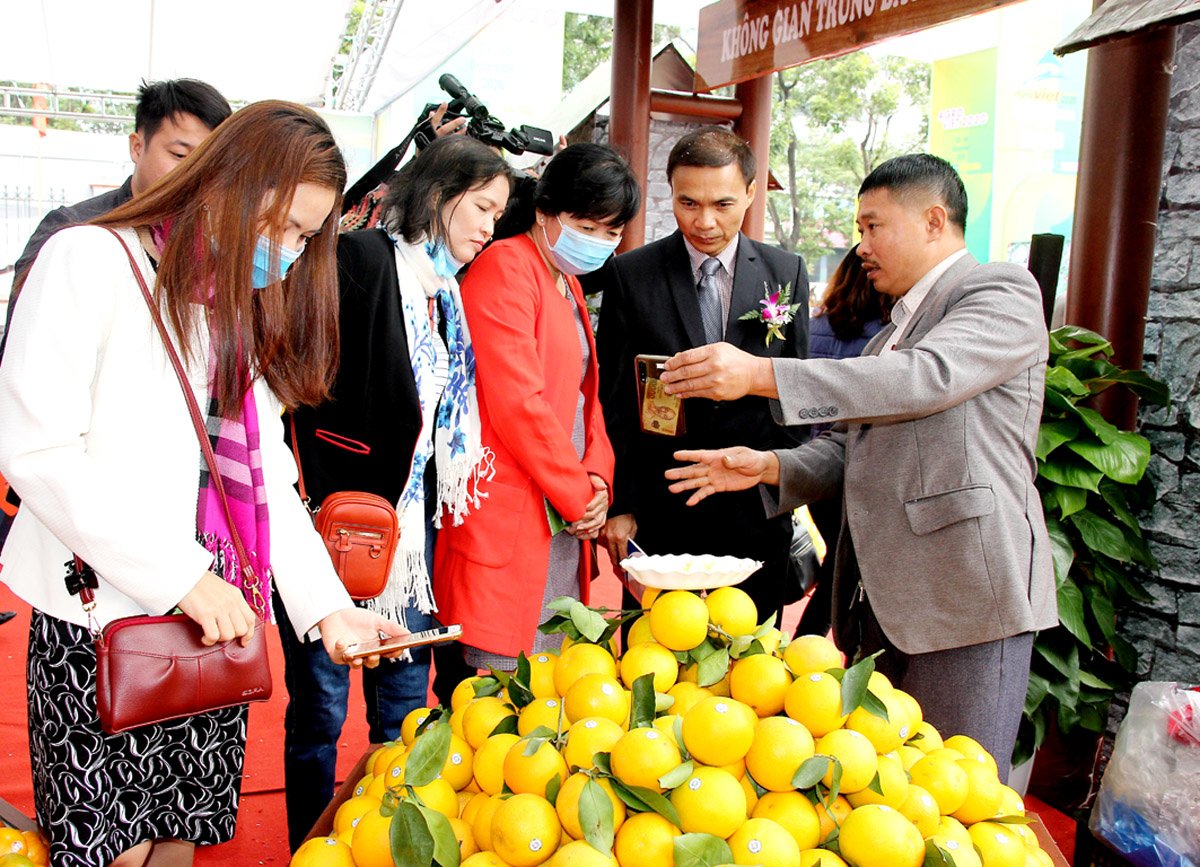 Đẩy mạnh xúc tiến, quảng bá sản phẩm cam Hà Giang tại Hà Nội.
