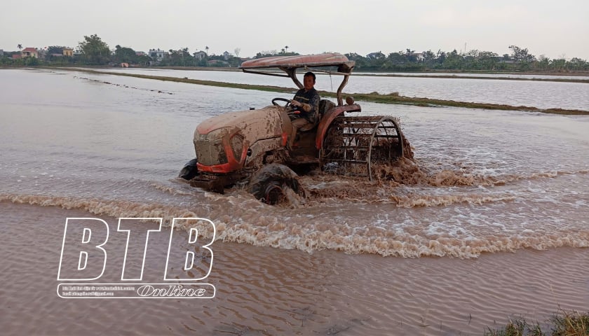 Nhộn nhịp xuống đồng đầu năm