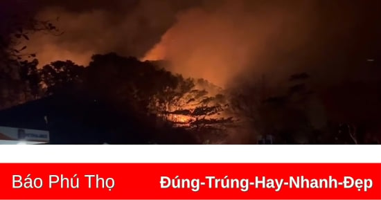 Incendie de forêt de 2 ha à Tam Nong