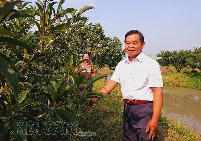 Loại cây ra quả đặc sản, trái to bự, xuất xứ từ Mehico này trồng thành công Kiên Giang, một nông dân trúng lớn - Ảnh 1.