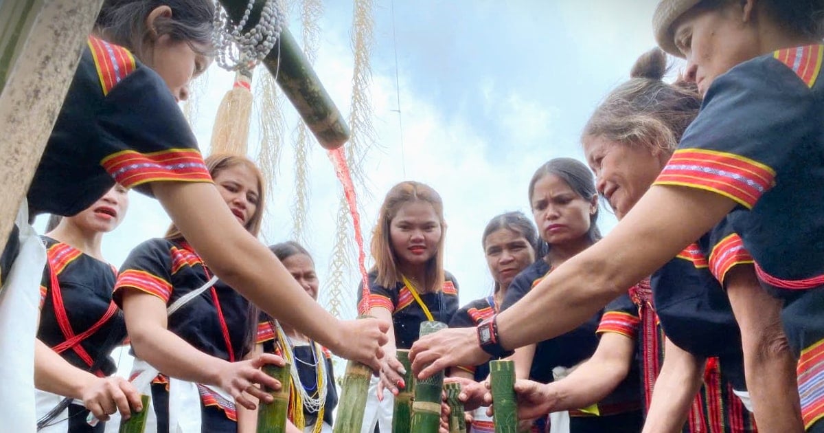 Tet in the joy of village festival