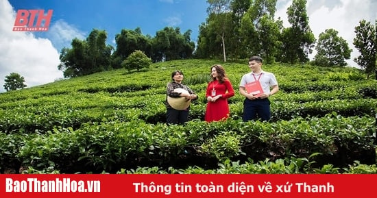 Những “cánh chim” không mỏi kiến thiết mùa xuân mới ấm no