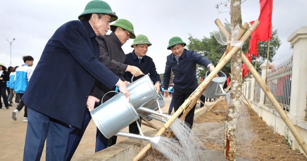 Mil millones de árboles en beneficio del medio ambiente