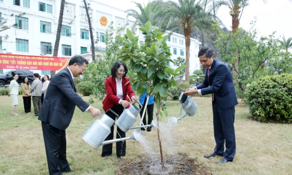 Đồng chí Phó Bí thư Thường trực Tỉnh ủy, Chủ tịch HĐND tỉnh tham gia Tết trồng cây “Đời đời nhớ ơn Bác Hồ”