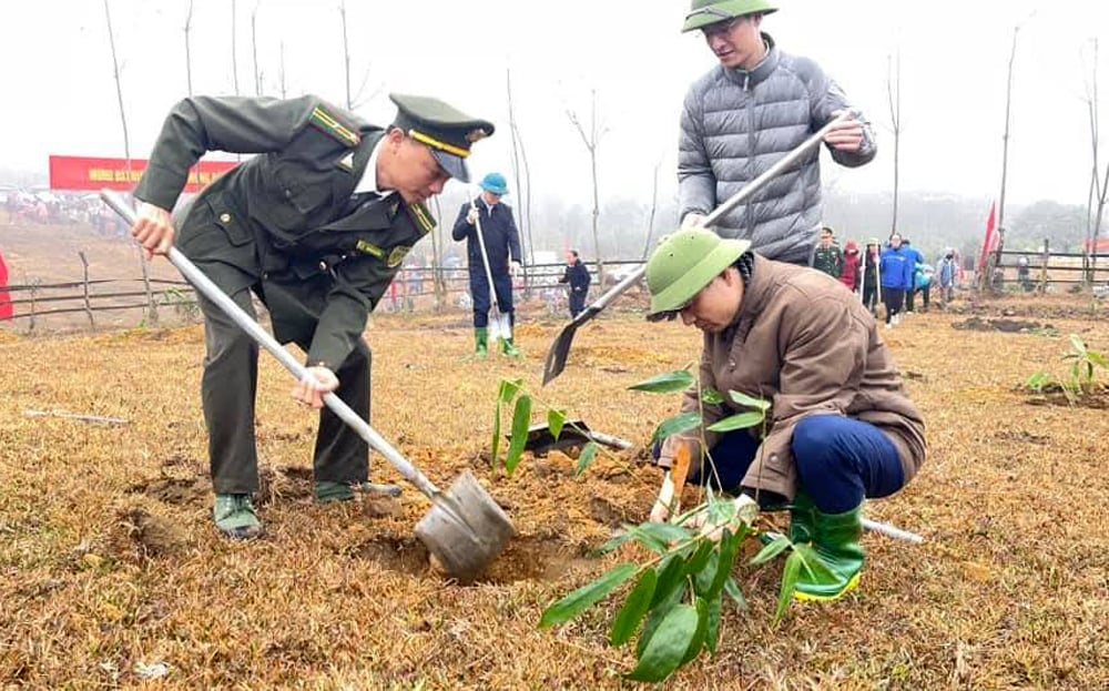 Yên Bái trồng trên 610 ha rừng trong ngày đầu ra quân Tết trồng cây