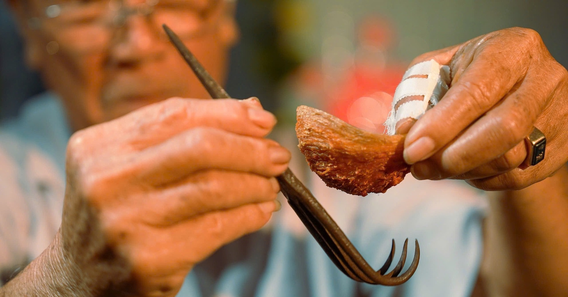 La famosa industria de nidos de pájaro de Khanh Hoa